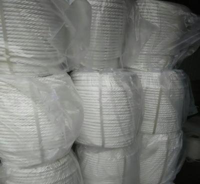 【廠家生產直銷安全繩,可按要求定做,量大優惠,歡迎洽談】價格_廠家_圖片